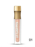 Karite Lip Plump Color Lip Gloss product image