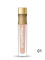 Karite Lip Plump Color Lip Gloss product image