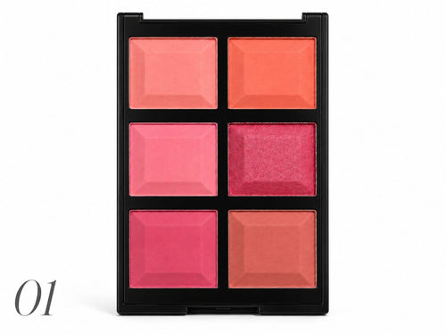 Marom DoDo Girl Professional Makeup Ace Blusher palette shade 01 featuring six vibrant pink and coral powder shades