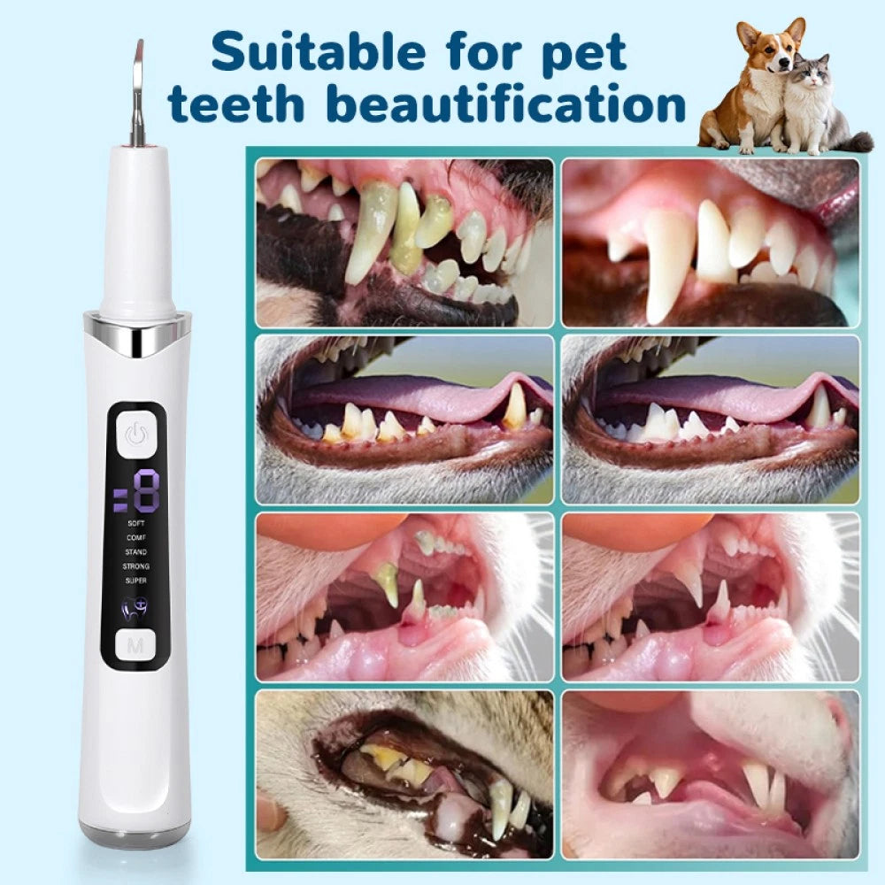 Ultrasonic Tooth Cleaner with LED Light - in use